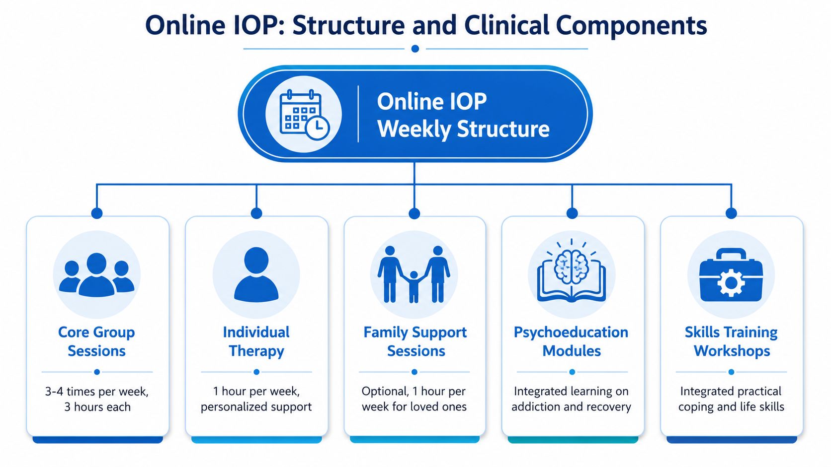 A diagram outlining the structure and clinical components of an Online Intensive Outpatient Program for patients.