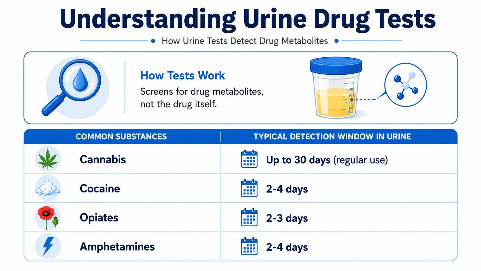An infographic titled Understanding Urine Drug Tests showing detection windows for cannabis, cocaine, opiates, and amphetamines.