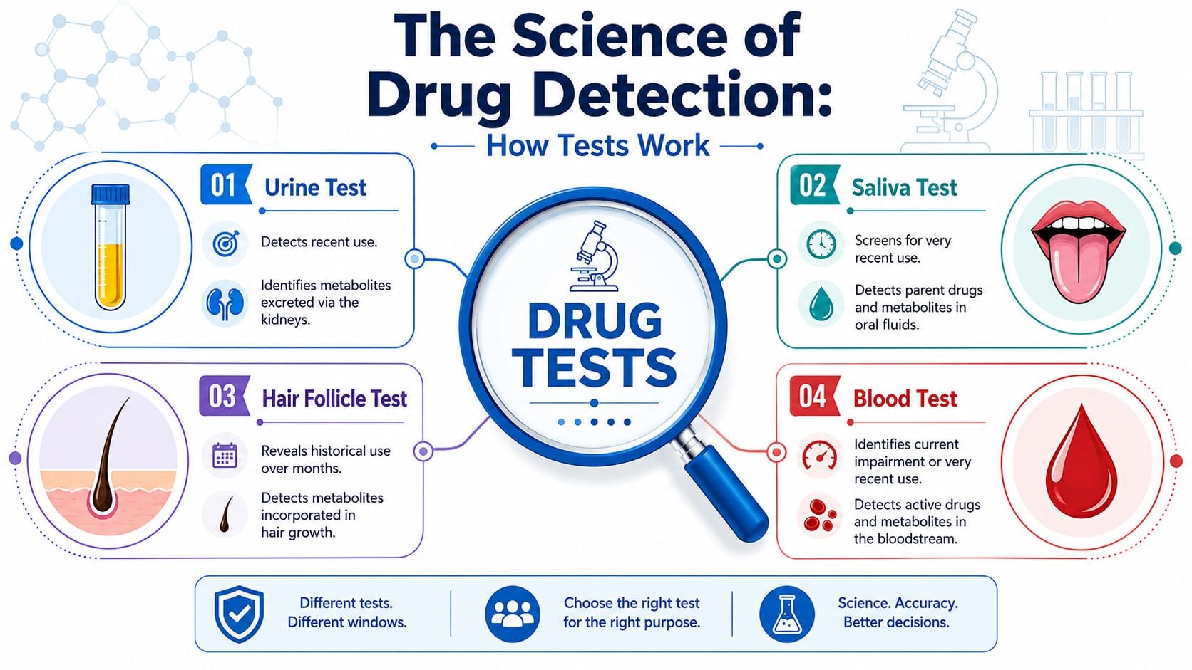 An infographic titled The Science of Drug Detection comparing urine, saliva, hair, and blood drug testing methods.