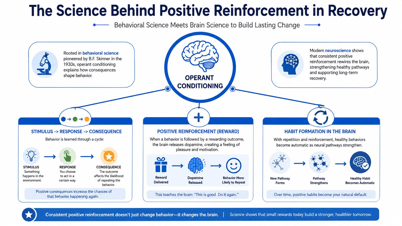 A diagram explaining how positive reinforcement in recovery uses operant conditioning to rewire brain habits.