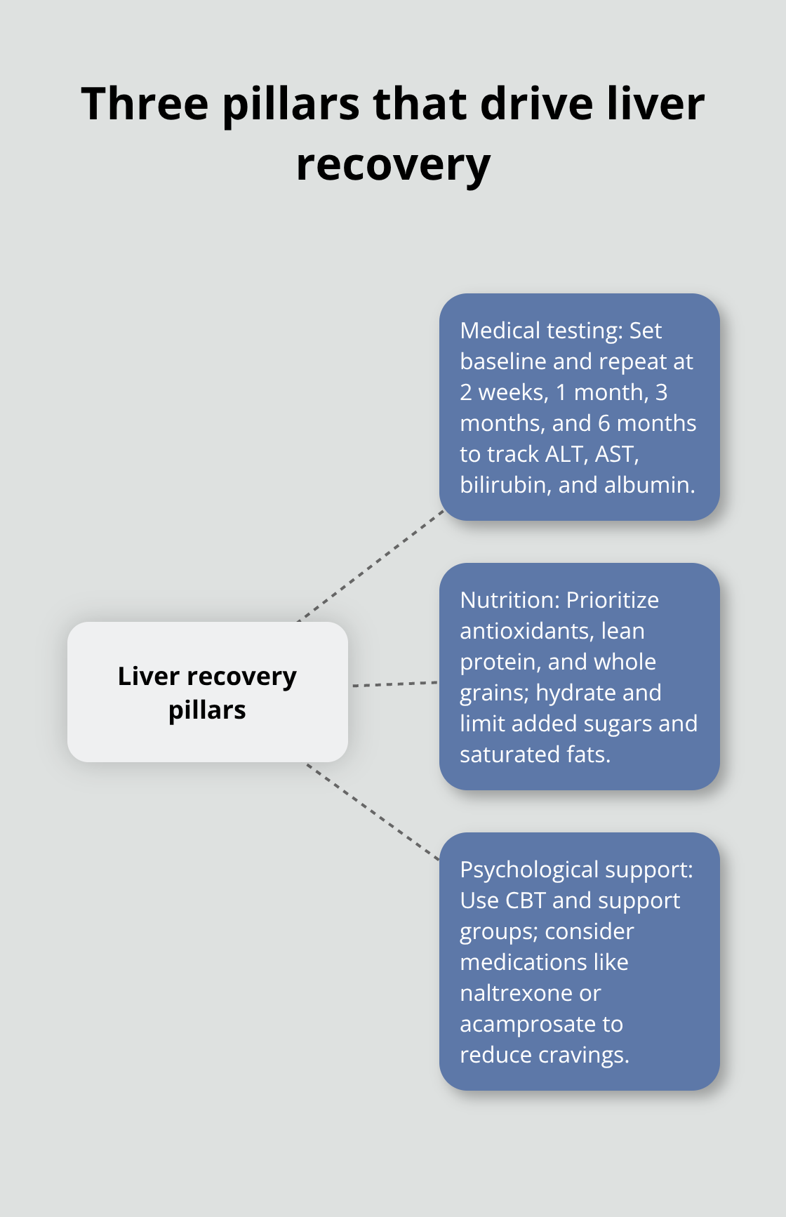 Hub-and-spoke showing medical testing, nutrition, and psychological support for liver recovery - alcohol liver recovery timeline