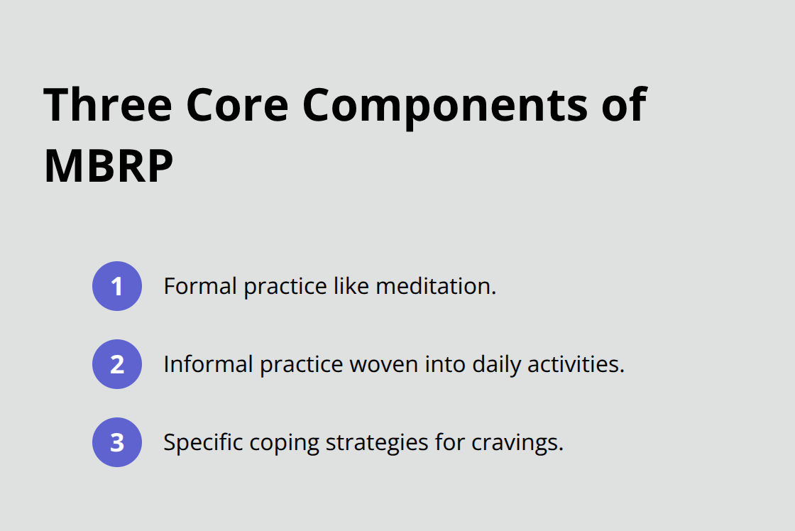 Compact list of the three components identified by Mindfulness-Based Relapse Prevention. - mindfulness for sobriety
