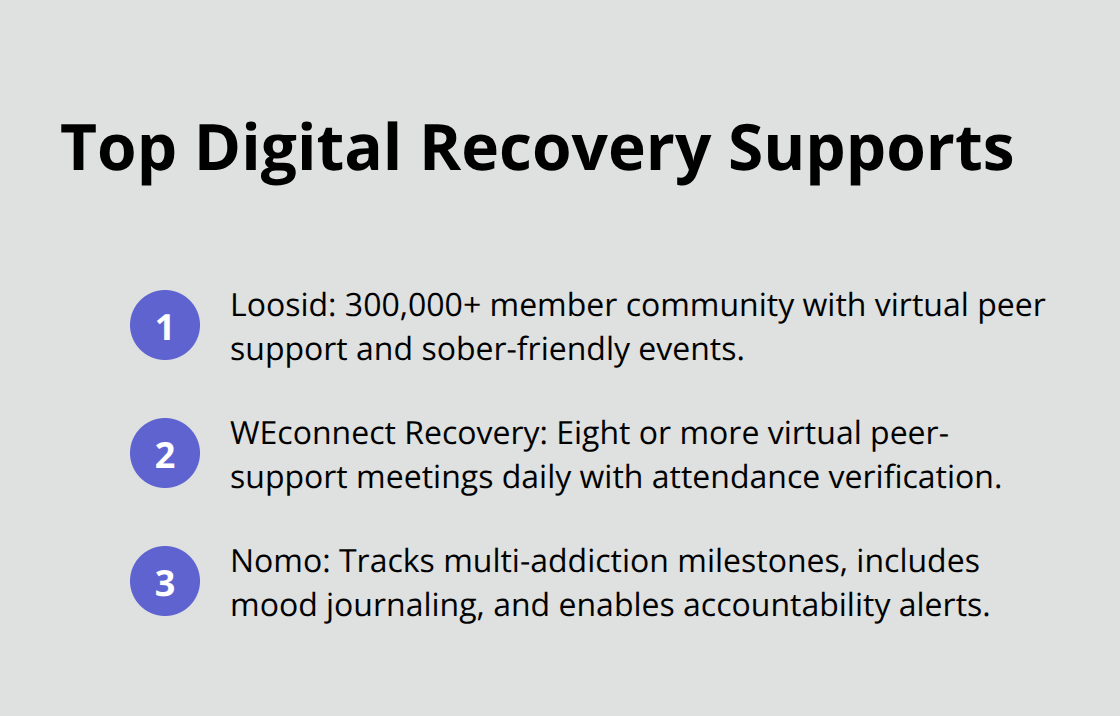 Compact list highlighting three leading digital recovery apps and what they offer.